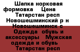 Шапка норковая формовка  › Цена ­ 2 500 - Татарстан респ., Новошешминский р-н, Новошешминск с. Одежда, обувь и аксессуары » Мужская одежда и обувь   . Татарстан респ.
